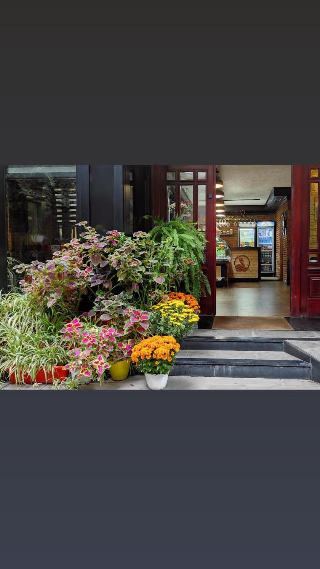 Hotel Livia Τίρανα Εξωτερικό φωτογραφία